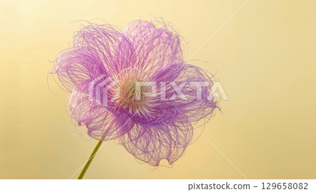A flower with a purple stem and purple petals 129658082