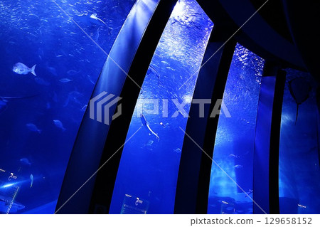 Large aquarium at Hakkeijima Sea Paradise 129658152