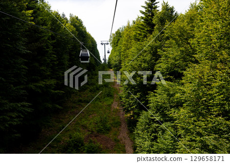 Scenic cable car ride through dense forest landscape Scenic cable car ride through dense forest landscape 129658171