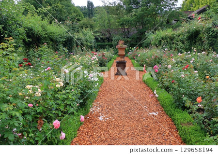 The natural flowers at the Karuizawa Lake Garden, a flower park with beatiful lakes in the Karuizawa resort area of, Nagano Japan 129658194