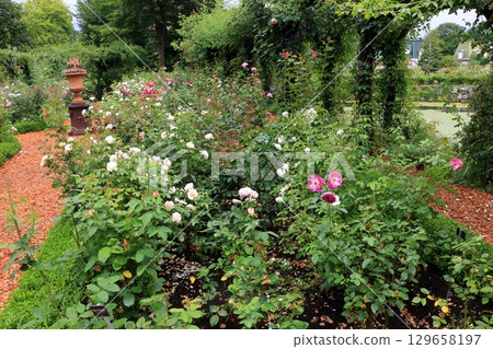 The natural flowers at the Karuizawa Lake Garden, a flower park with beatiful lakes in the Karuizawa resort area of, Nagano Japan 129658197
