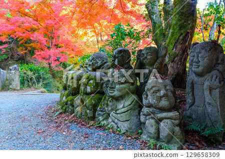 被秋葉包圍的愛宕念佛寺 129658309