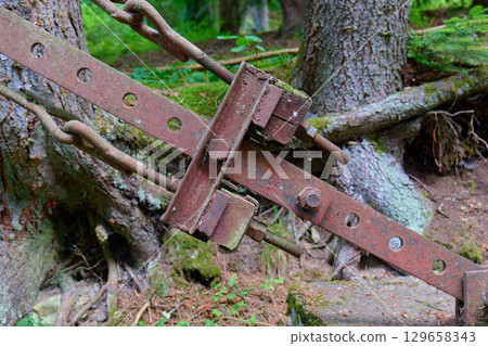 A close up view of a rusty metal clamp leaning on trees in a lush forest. High quality photo 129658343