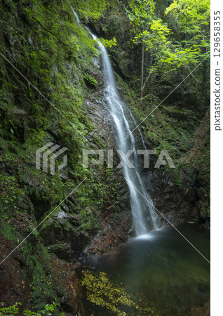 霍薩瓦瀑布流經茂密的森林 129658355