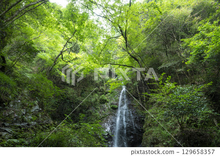 Hossawa Falls flows through a lush forest 129658357