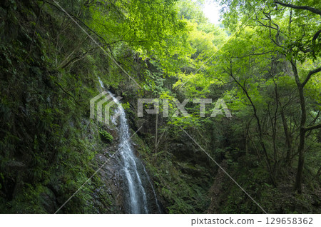 Hossawa Falls flows through a lush forest Hossawa Falls flows through a lush forest 129658362