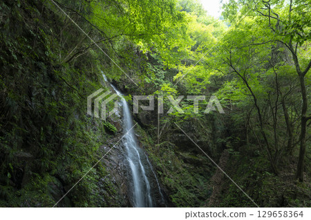 Hossawa Falls flows through a lush forest Hossawa Falls flows through a lush forest 129658364