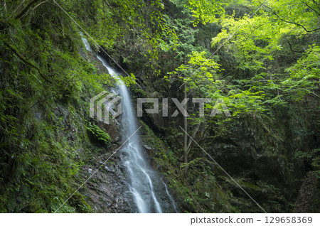 Hossawa Falls flows through a lush forest Hossawa Falls flows through a lush forest 129658369