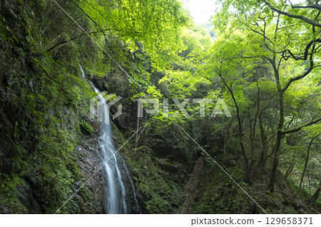 Hossawa Falls flows through a lush forest Hossawa Falls flows through a lush forest 129658371