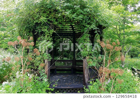 The paths around the lake and gardens of the Lake Garden in the Japanese resort town of Karuizawa in the Nagano Alps. The paths around the lake and gardens of the Lake Garden in the Japanese resort town of Karuizawa in the Nagano Alps. 129658418
