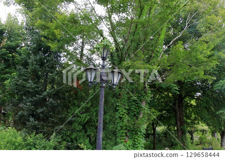 The paths around the lake and gardens of the Lake Garden in the Japanese resort town of Karuizawa in the Nagano Alps. The paths around the lake and gardens of the Lake Garden in the Japanese resort town of Karuizawa in the Nagano Alps. 129658444