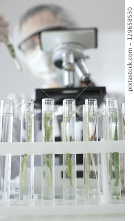 Close up of test tubes with a scientist analyzing plant samples in test tubes with a microscope, conducting research in a laboratory. Medicine, healthcare and science concept Close up of test tubes with a scientist analyzing plant samples in test tubes with a microscope, conducting research in a laboratory. Medicine, healthcare and science concept 129658530