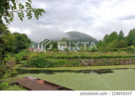 The beautiful ponds full of water lilies in the Lake Garden in the resort town of Karuizawa in the Japanese Alps of Nagano Japan The beautiful ponds full of water lilies in the Lake Garden in the resort town of Karuizawa in the Japanese Alps of Nagano Japan 129659107