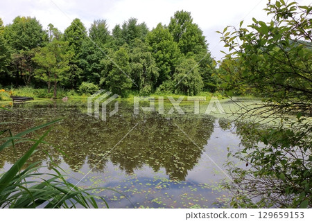 The beautiful ponds full of water lilies in the Lake Garden in the resort town of Karuizawa in the Japanese Alps of Nagano Japan The beautiful ponds full of water lilies in the Lake Garden in the resort town of Karuizawa in the Japanese Alps of Nagano Japan 129659153