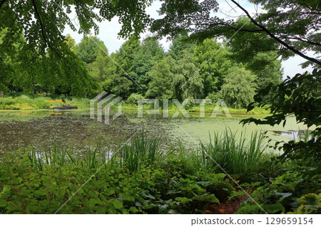 The beautiful ponds full of water lilies in the Lake Garden in the resort town of Karuizawa in the Japanese Alps of Nagano Japan 129659154