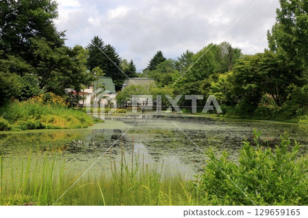The beautiful ponds full of water lilies in the Lake Garden in the resort town of Karuizawa in the Japanese Alps of Nagano Japan 129659165