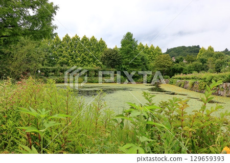 Bridges on the scenic ponds at Lake Garden in the resort town of Karuizawa in the Japanese Alps of Nagano Japan  129659393