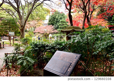 橫濱公園加賀庭園及橫濱市岩木樓石燈籠資訊碑的秋葉 129660108
