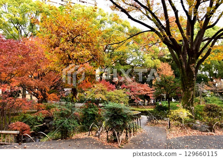 Yokohama City: Colorful autumn leaves and walking paths at Yokohama Park and Kaga Garden Yokohama City: Colorful autumn leaves and walking paths at Yokohama Park and Kaga Garden 129660115