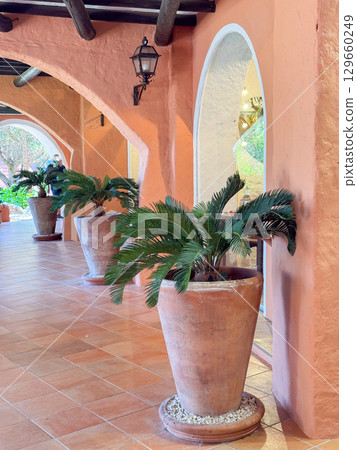 Terracotta pots with lush greenery line a rustic corridor, featuring arched walls and natural textures. The setting evokes a sense of tranquility and style in a charming architectural space. Terracotta pots with lush greenery line a rustic corridor, featuring arched walls and natural textures. The setting evokes a sense of tranquility and style in a charming architectural space. 129660249