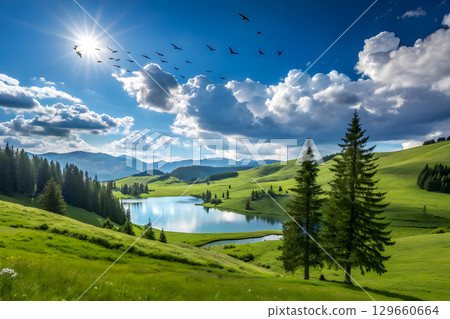 spruce forest on a grassy meadow 129660664
