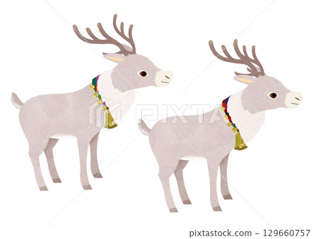 馴鹿 129660757
