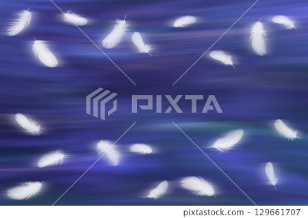 白色的鳥翅在深藍色的光線下輕輕飄動 129661707