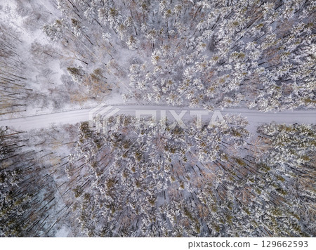 Aerial view of the road in the winter forest with high pine or spruce trees covered by snow. Driving in winter. 129662593