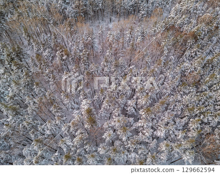 Aerial view of a winter pine forest. Top view of snow-covered pine trees. Beautiful winter forest landscape. Aerial view of a winter pine forest. Top view of snow-covered pine trees. Beautiful winter forest landscape. 129662594