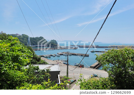 和歌山縣/賽加崎市 129662699