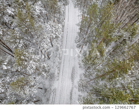 Aerial view of the road in the winter forest with high pine or spruce trees covered by snow. Driving in winter. 129662767
