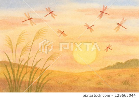 夕陽、紅蜻蜓、紫芒 129663044