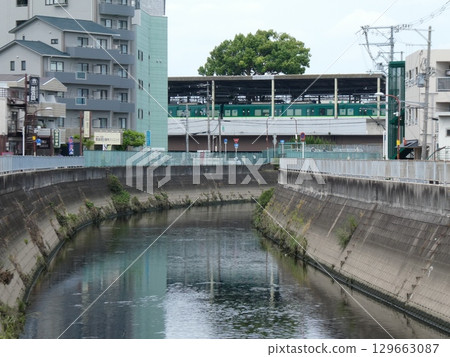 Camphor trees growing on the platform of Keihan Electric Railway's Kayashima Station Camphor trees growing on the platform of Keihan Electric Railway's Kayashima Station 129663087