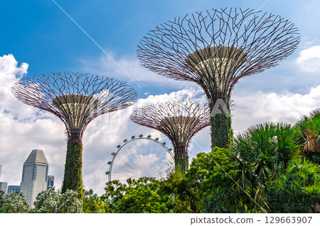 新加坡濱海灣花園 129663907