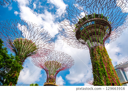 新加坡濱海灣花園 新加坡濱海灣花園 129663916