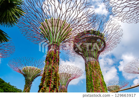 Singapore Gardens by the Bay 129663917