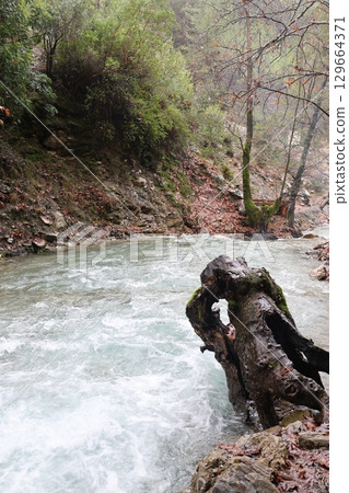 Flowing river landscape. High quality photo 129664371