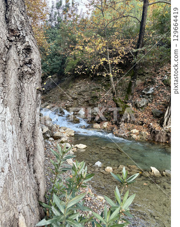 mountain river fast for waterfall rapids stream autumn. High quality photo mountain river fast for waterfall rapids stream autumn. High quality photo 129664419