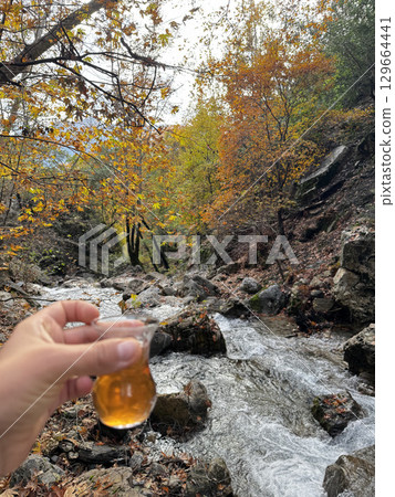 Tea nature overcast. High quality photo 129664441