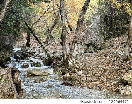 mountain river fast for waterfall rapids stream autumn. High quality photo mountain river fast for waterfall rapids stream autumn. High quality photo 129664473