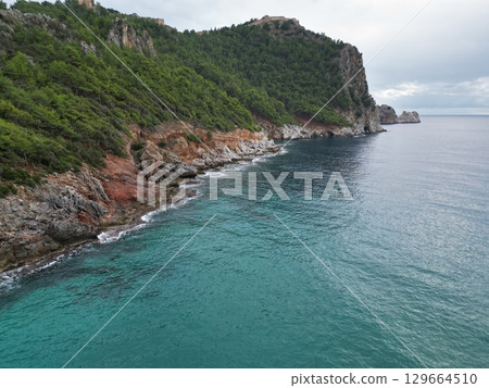 Cliffside forest coastline. High quality photo 129664510