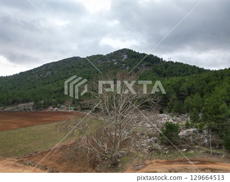 Pipeline construction site. High quality 4k footage 129664513