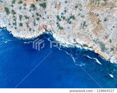 Cliffside forest coastline. High quality photo 129664527