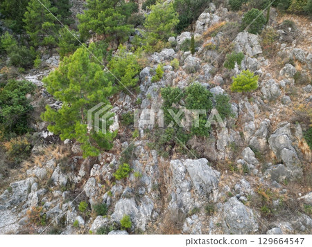 fortress on a rock near the sea coast fortress on a rock near the sea coast 129664547