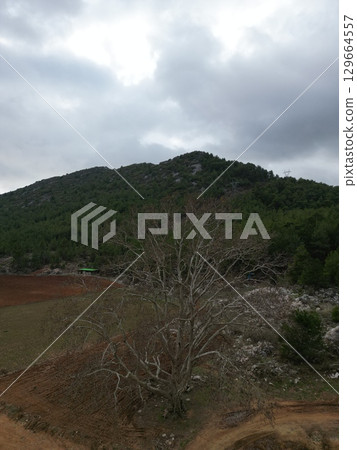 Pipeline construction site. High quality 4k footage Pipeline construction site. High quality 4k footage 129664557