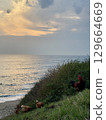 rooster and hen in nature with sea view. High quality photo 129664669