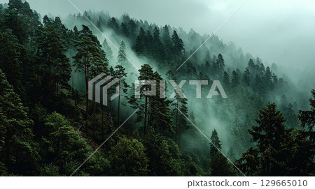 Fog covering the mountainside 129665010