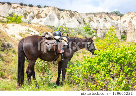 Horse grazing in the lush greenery near Cappadocia's unique rock formations in Turkey Horse grazing in the lush greenery near Cappadocia's unique rock formations in Turkey 129665221