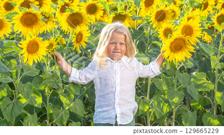 Child enjoys sunny day among vibrant sunflowers in a blooming field during summer Child enjoys sunny day among vibrant sunflowers in a blooming field during summer 129665229