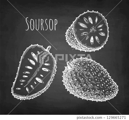 Soursop chalk sketch. 129665271